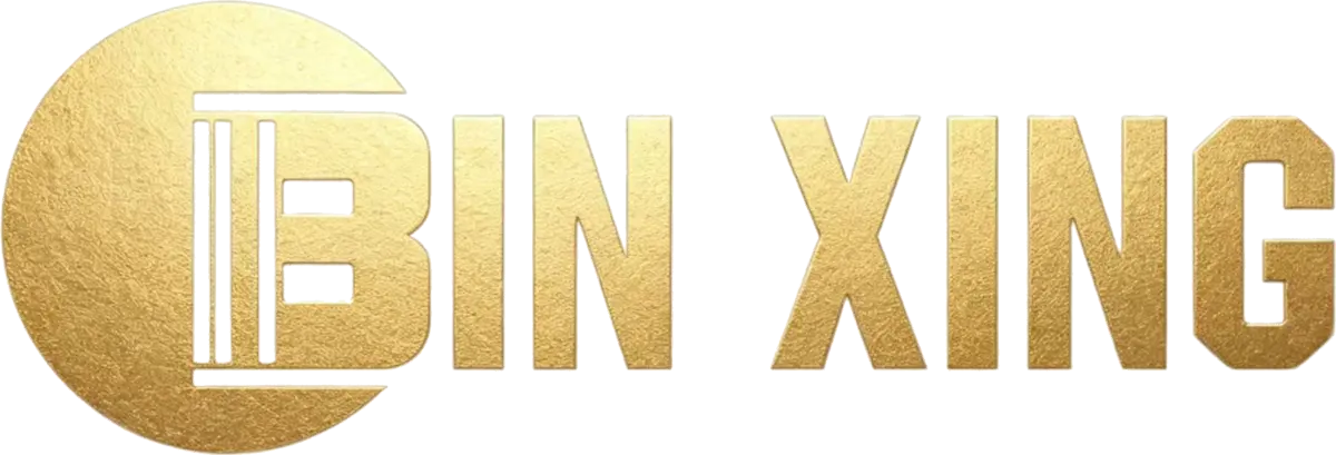 BIN XING logo