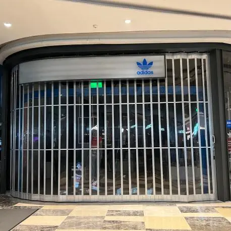 Folding Door